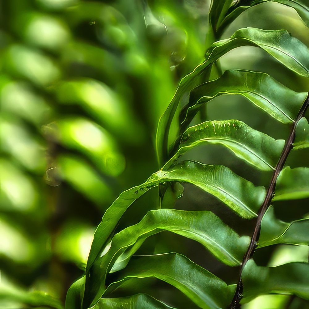 Фотография автора Ray Asiala