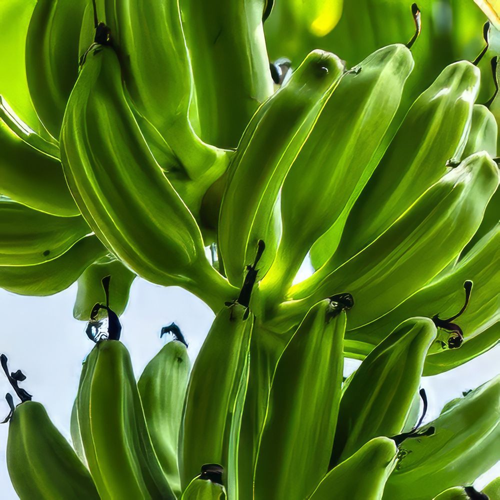 Фотография автора Ray Asiala