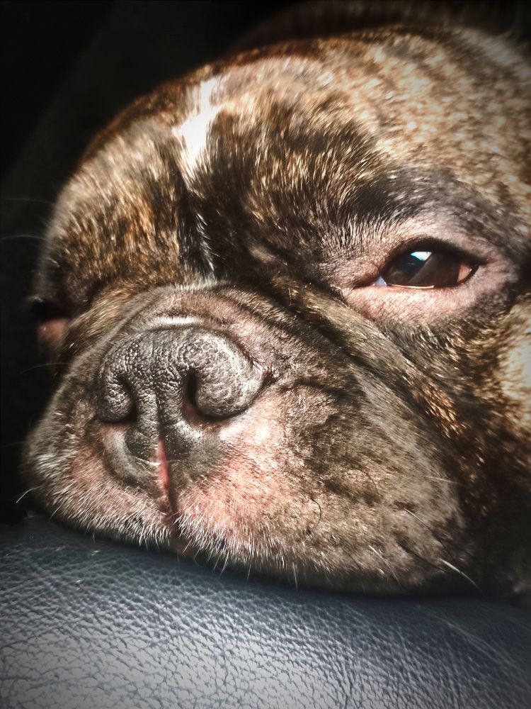 Photograph by Лариса Лысенко