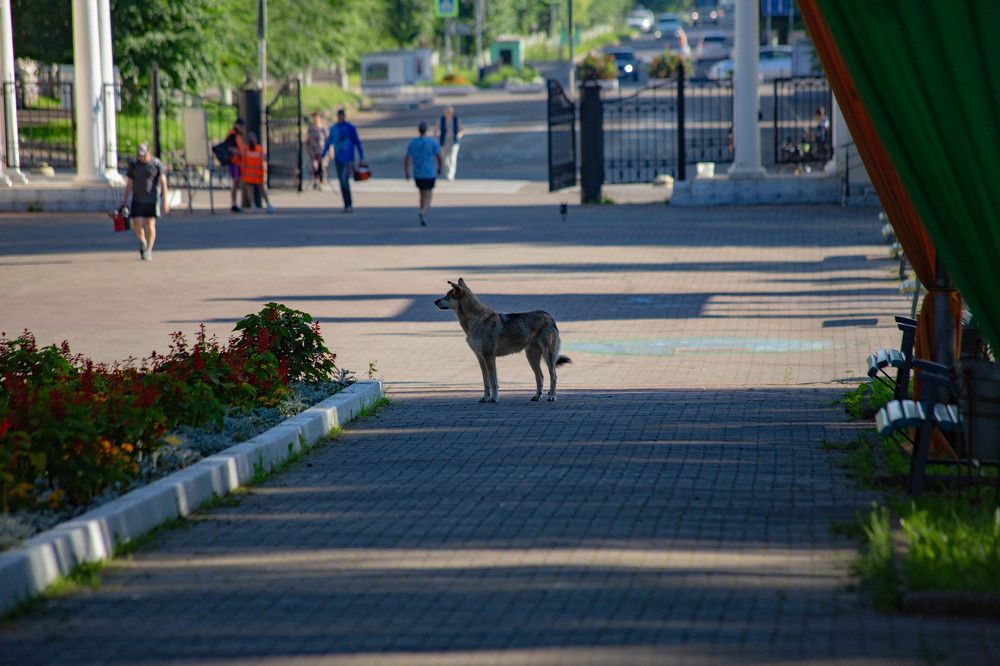 Photograph by Евгений Авдеев