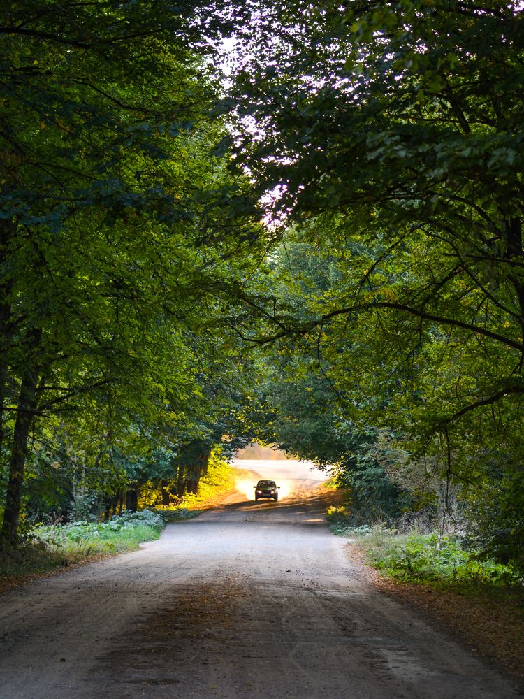 Photograph by Анастасия Гурова