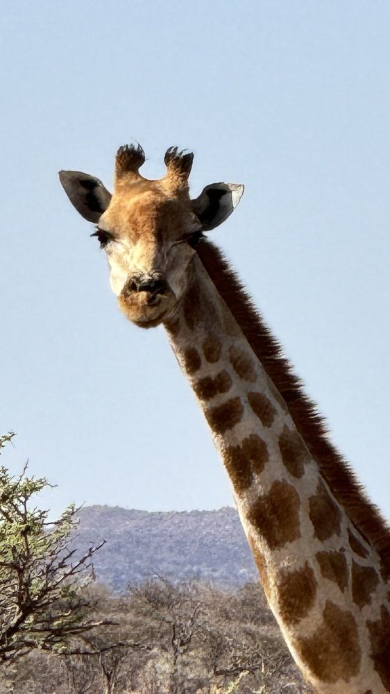 Photograph by Natalia