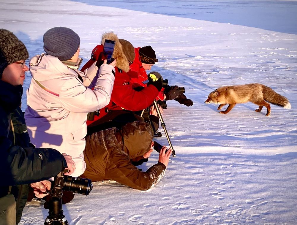 Photograph by Людмила Белякова