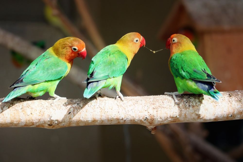 Photograph by Zahra HassanPour