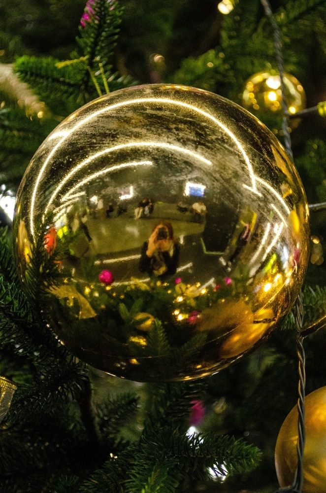 Photograph by Любовь Бусова