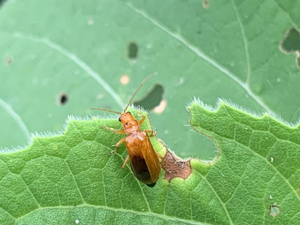 Photograph by Washiful Majid