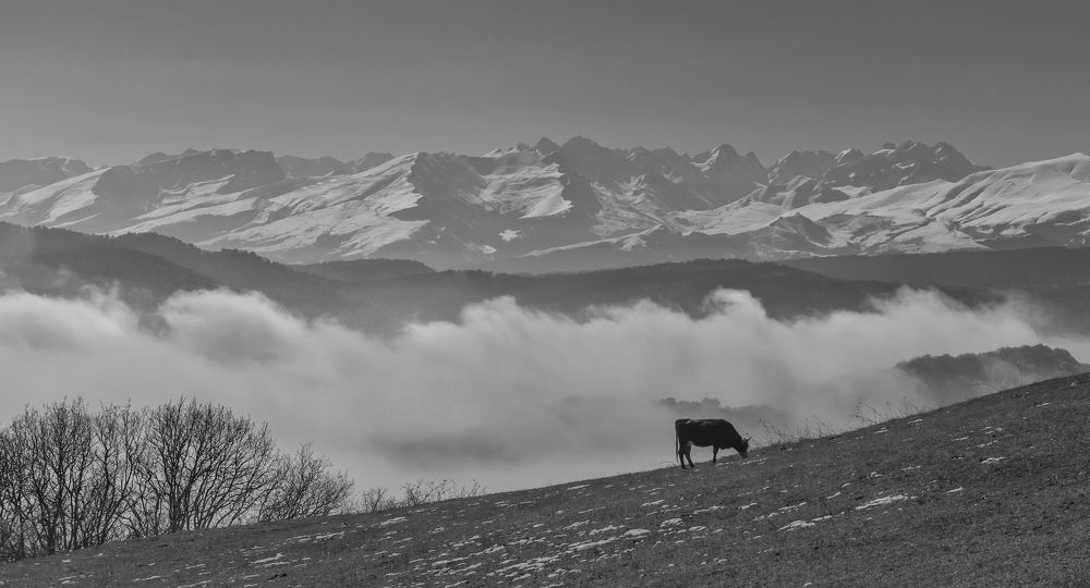 Зимнее одиночество