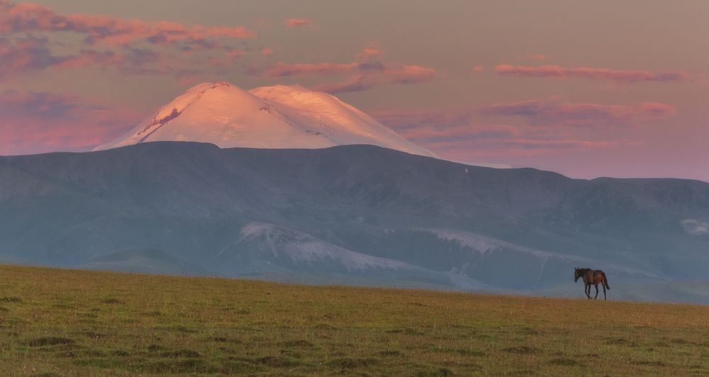Прогулка на рассвете