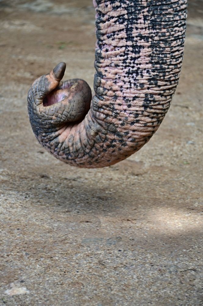 Photograph by M.I.M. Mahir