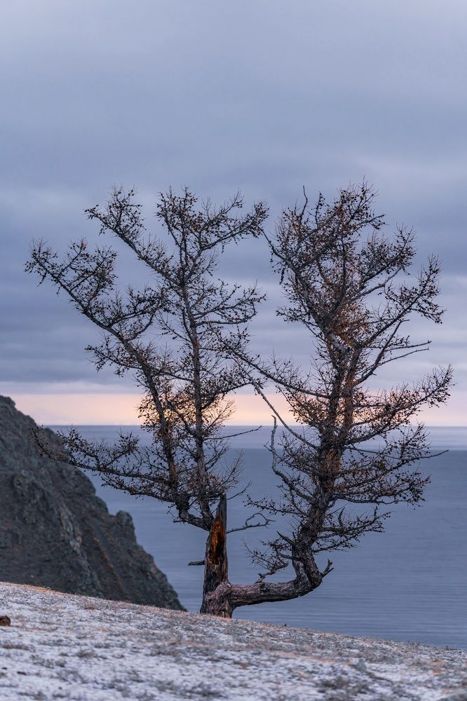 Photograph by Виктория Лобанова