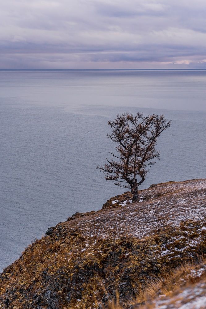Photograph by Виктория Лобанова