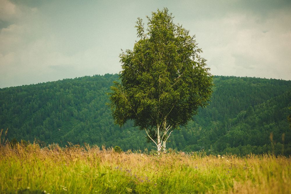 Photograph by Евгений Авдеев