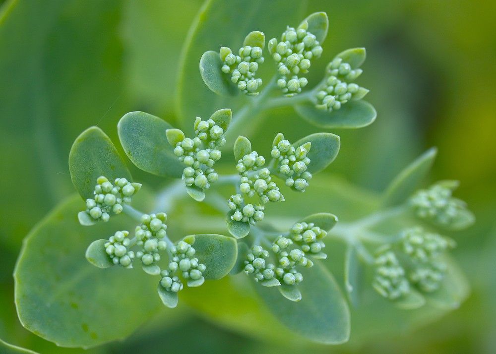 Photograph by Гагик Саркисян