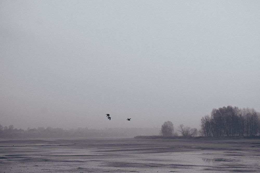 Photograph by Маруся Арбуа