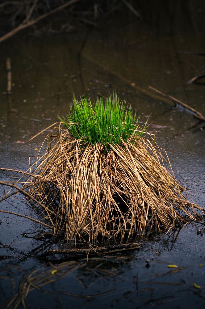 Фотография автора Оксана Вальянина
