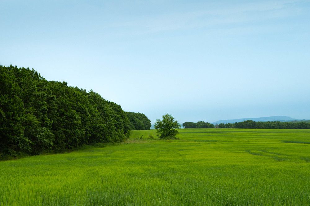 Фотография автора Оксана Вальянина