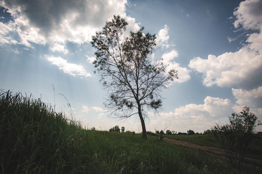 Photograph by Евгений Авдеев