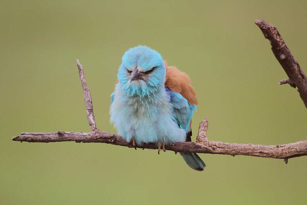 Photograph by Aleksandar Jasic