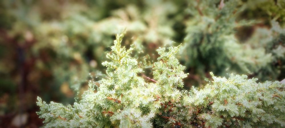 Photograph by Mishel Photographer