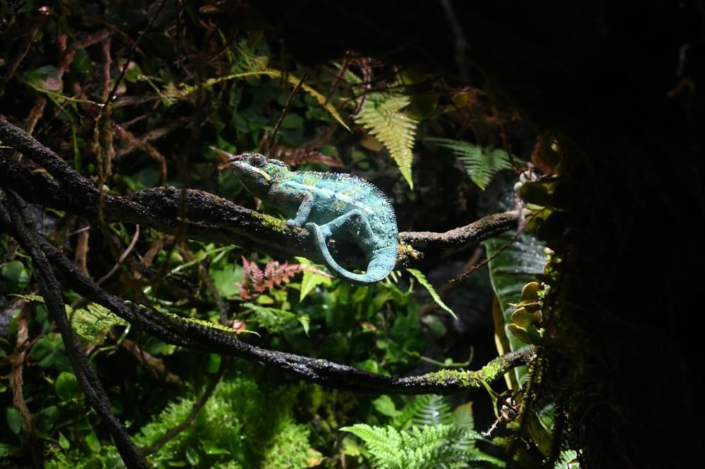 Photograph by Ирина Ященко