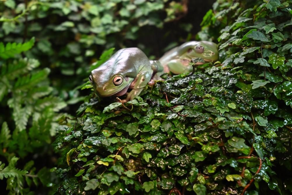 Photograph by Ирина Ященко