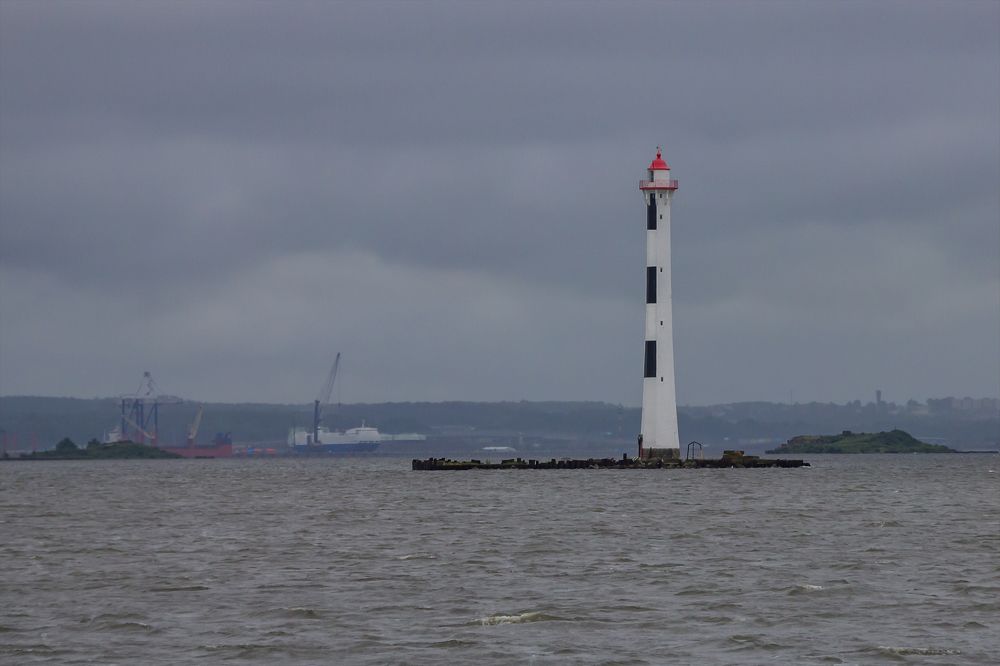 Photograph by Саиди Светлана