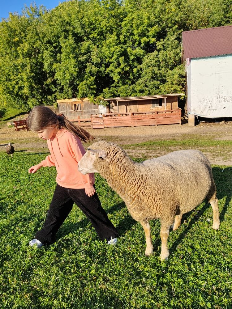 Фотография автора Татьяна Егорова