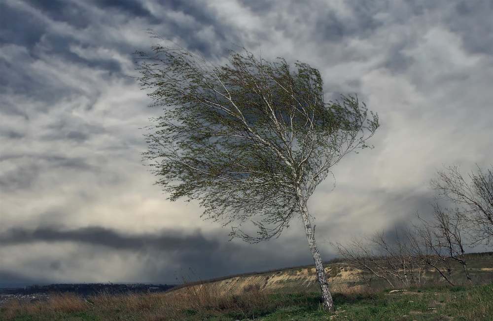 Противостояние ,надвигающейся  буре