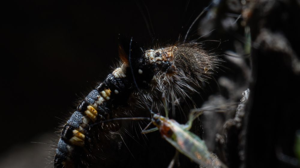 Photograph by Мичурин Андрей