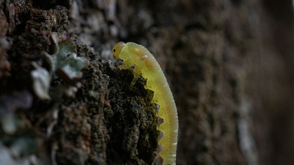 Photograph by Мичурин Андрей