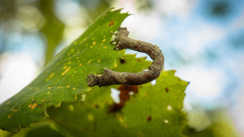 Photograph by Мичурин Андрей