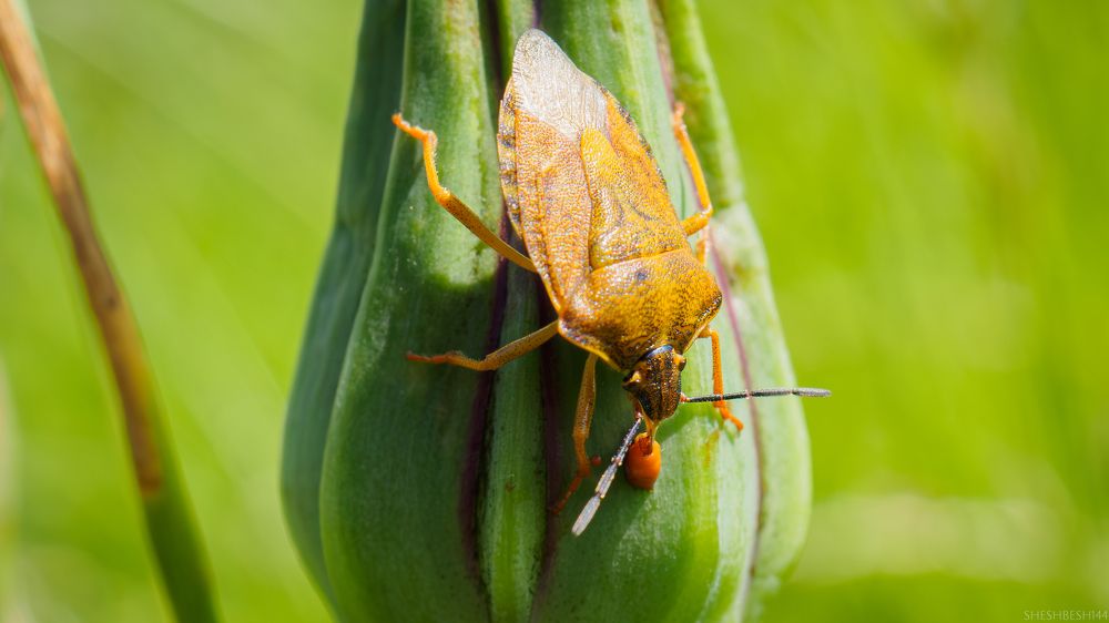 Photograph by Мичурин Андрей