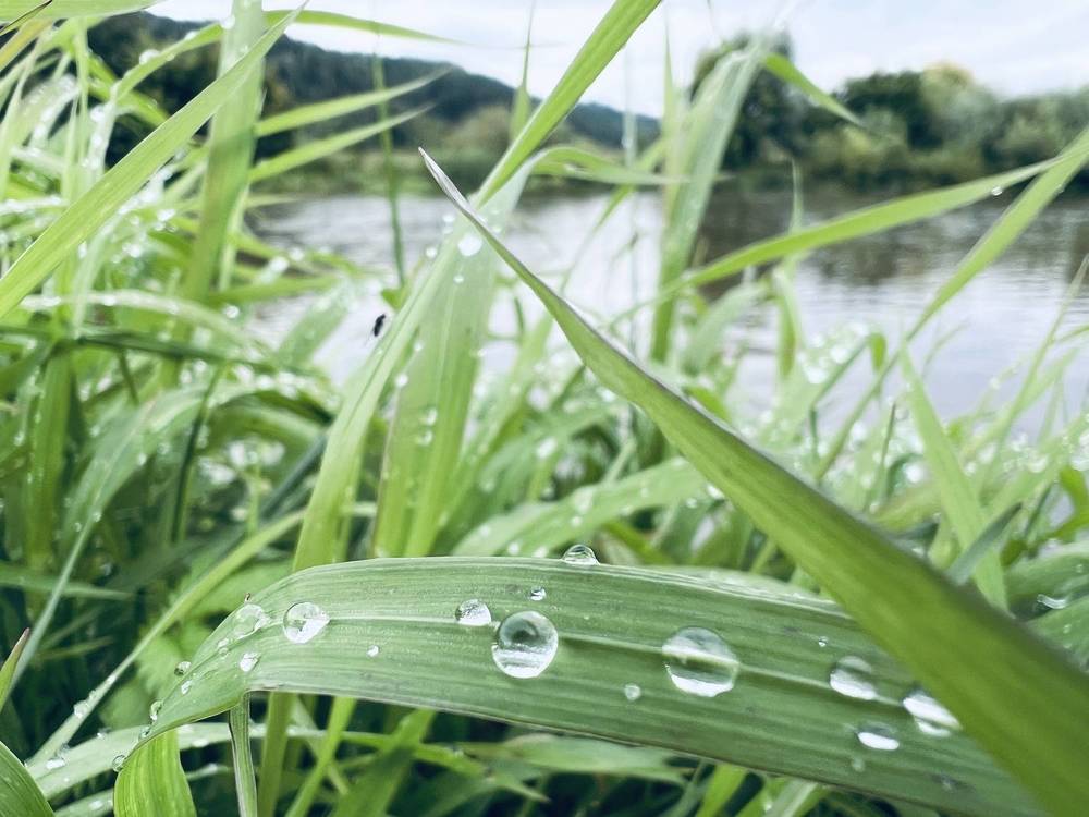 Photograph by Мария Халуторных