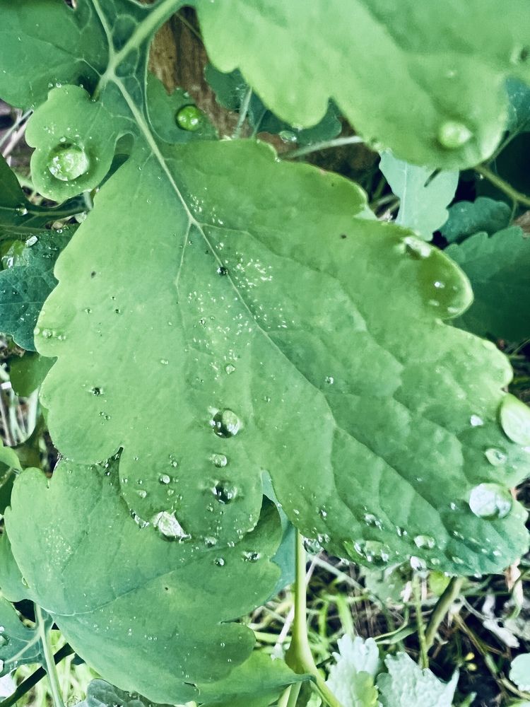 Photograph by Мария Халуторных