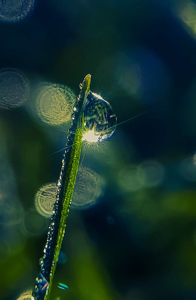 Photograph by Наталья Лищинская