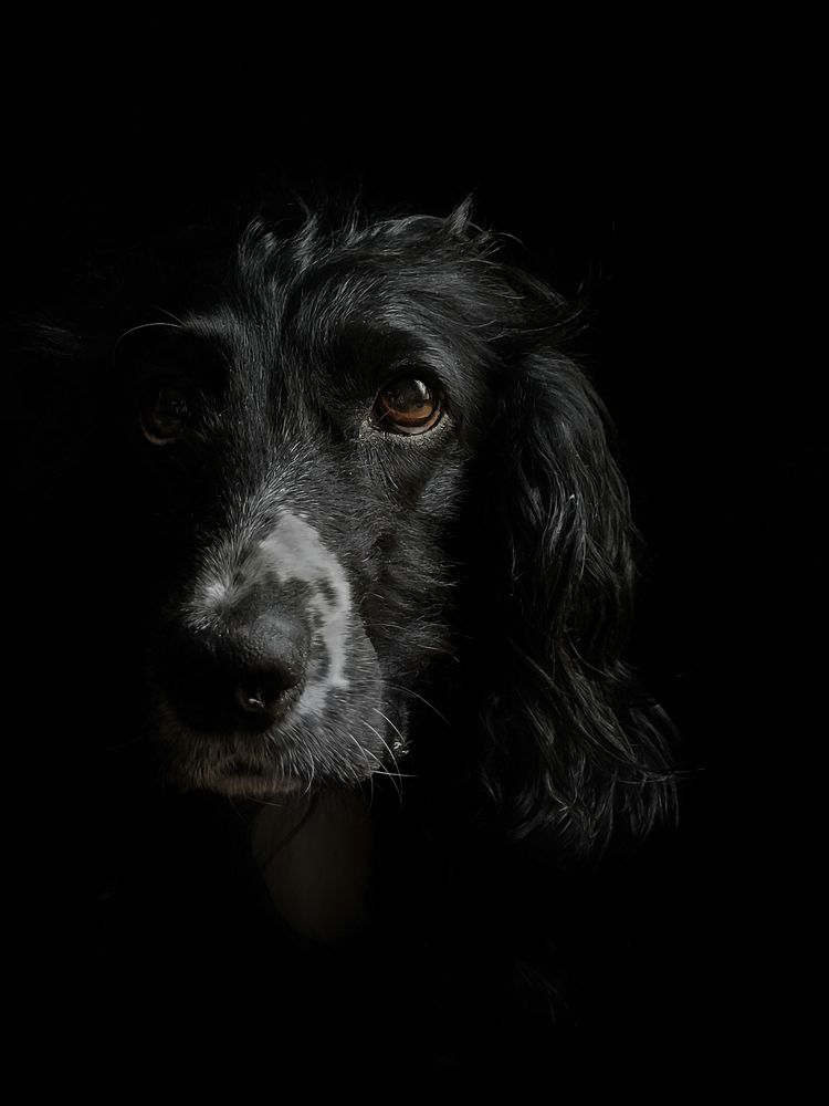 Photograph by Tatiana Aleksandrova