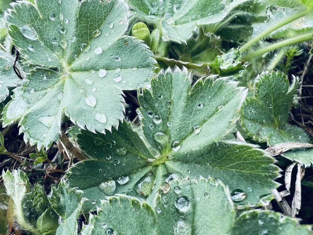 Photograph by Мария Халуторных