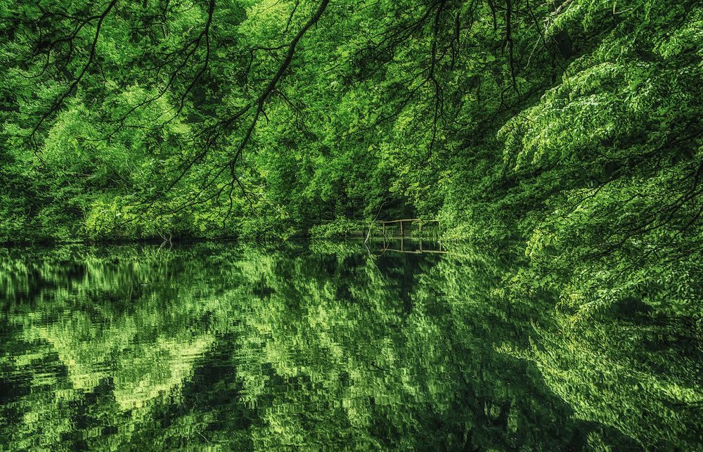 Фотография автора Александр