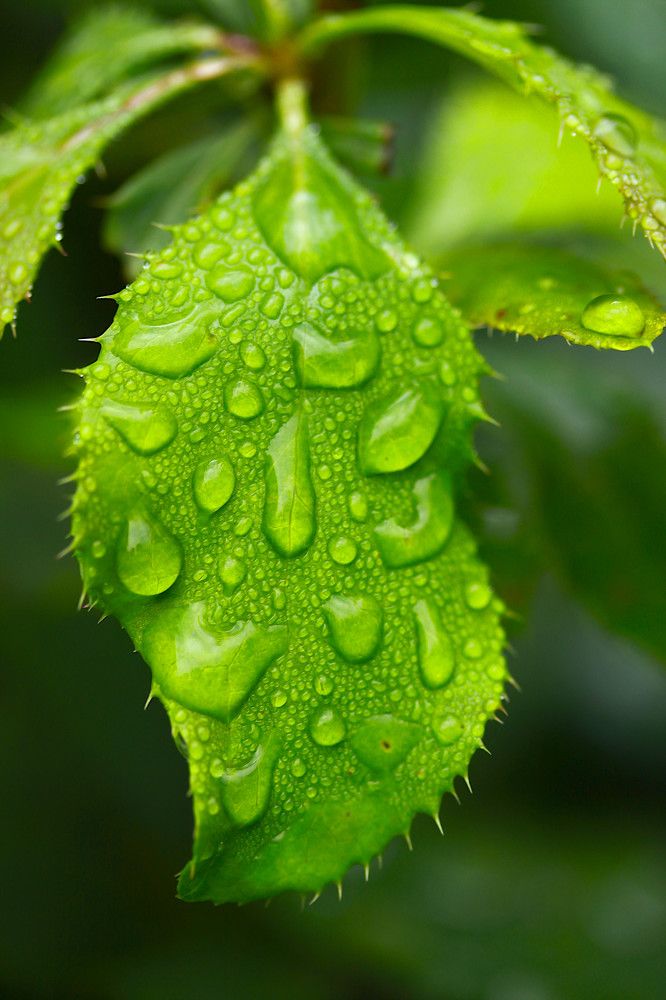 Photograph by Гагик Саркисян