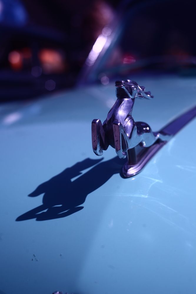 Photograph by Milla Luca