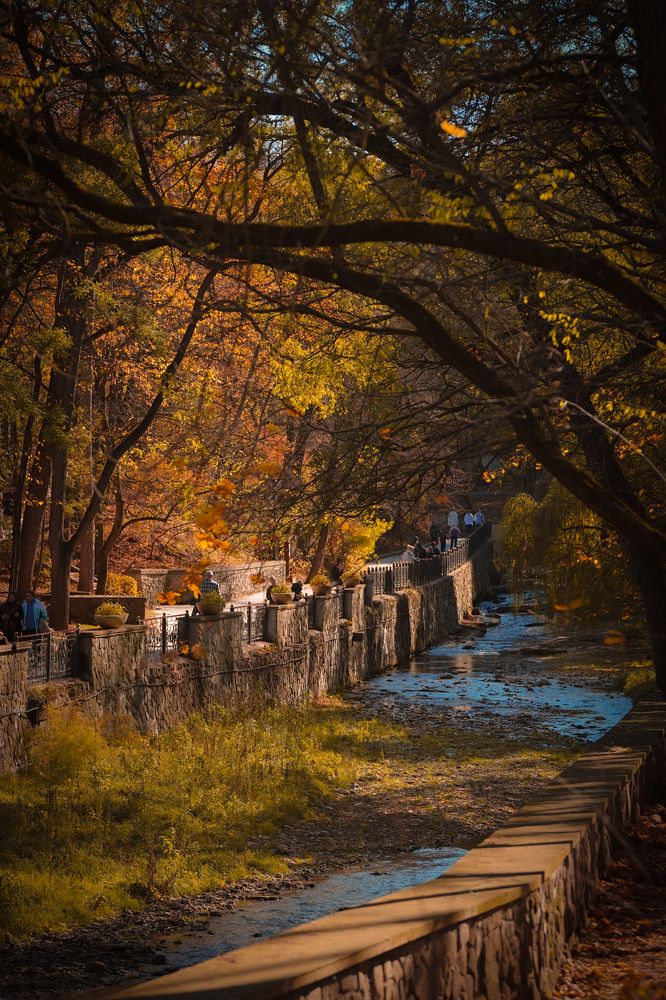 Photograph by Анжелика Гладких