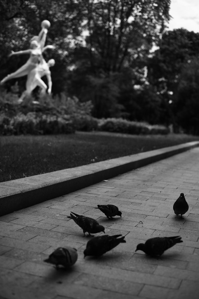 Photograph by Milla Luca