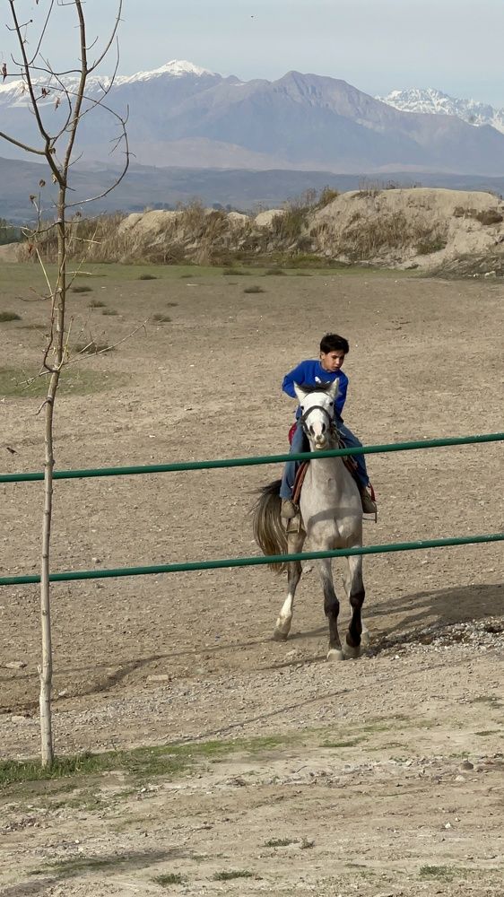 Photograph by Светлана Смук