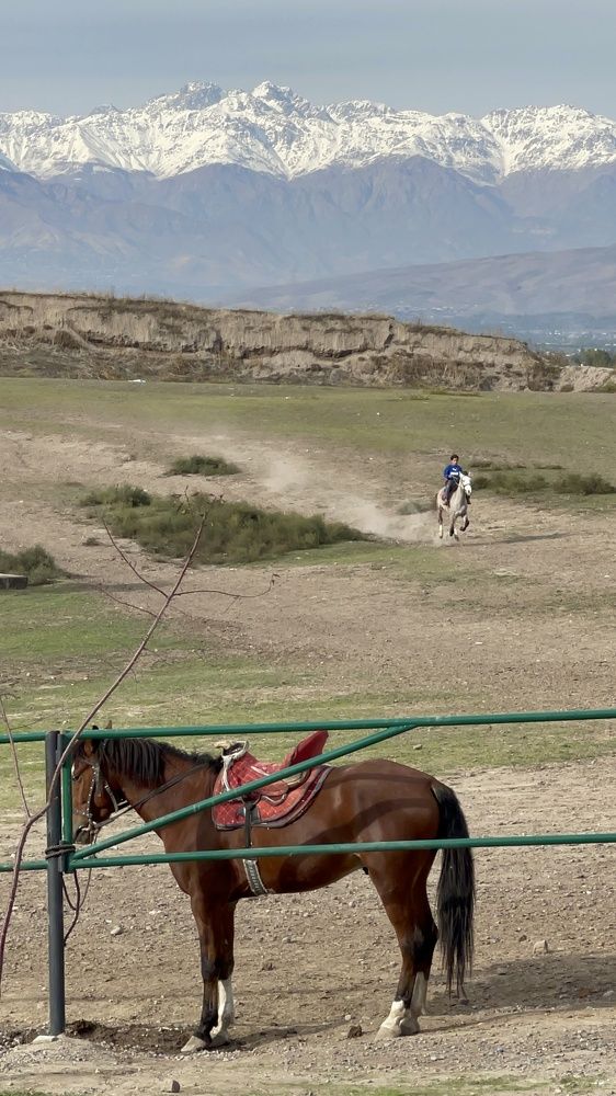 Photograph by Светлана Смук