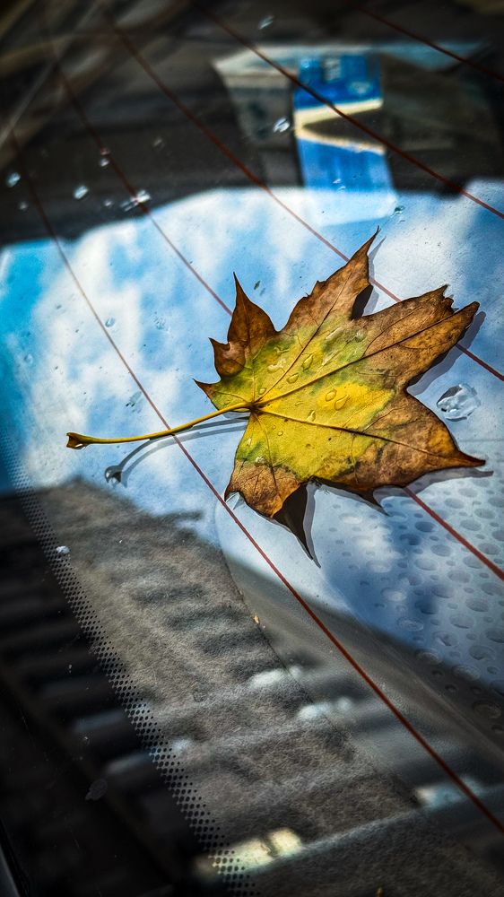 Photograph by Екатерина Слепнева