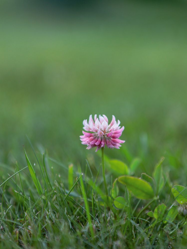 Photograph by Екатерина Слепнева