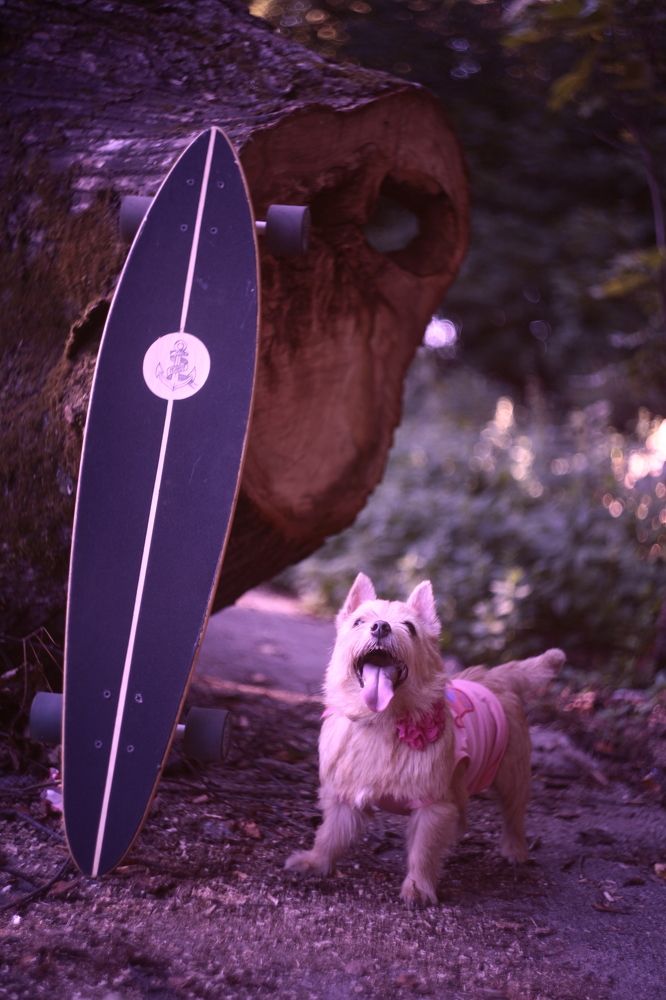 Photograph by Milla Luca