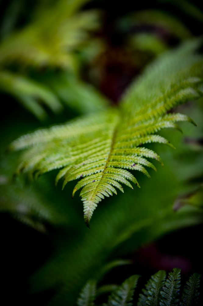 Photograph by Денчук Наталья