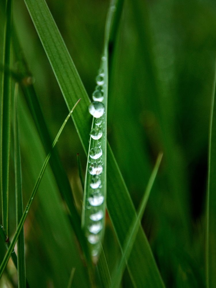 Photograph by Виктория Лобанова