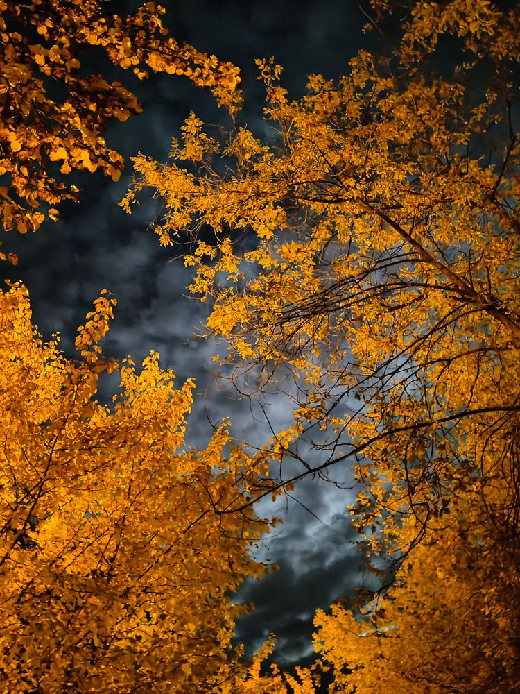 Photograph by ТАТЬЯНА ПАНОВА